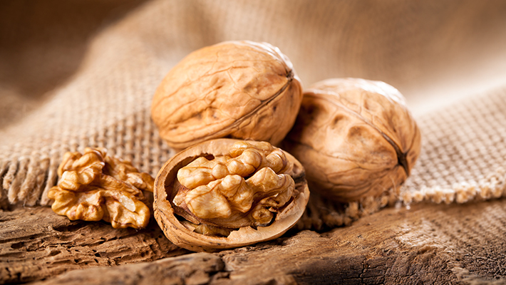 Walnüsse im Gegenlicht zeigen die hervorragende Qualität der Ölmühle Alexander Stoll in Kirchheim unter Teck, Baden-Württemberg, Deutschland