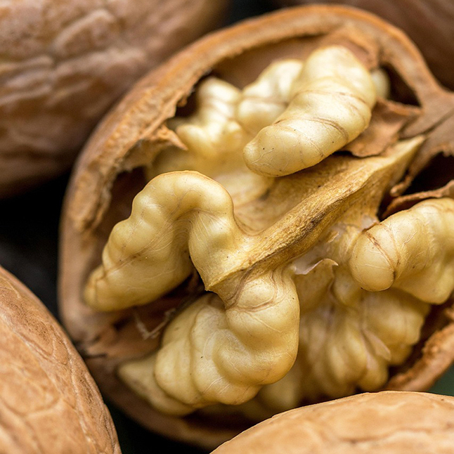 Walnussmehl online kaufen - Detailansicht einer geöffneten Walnuss